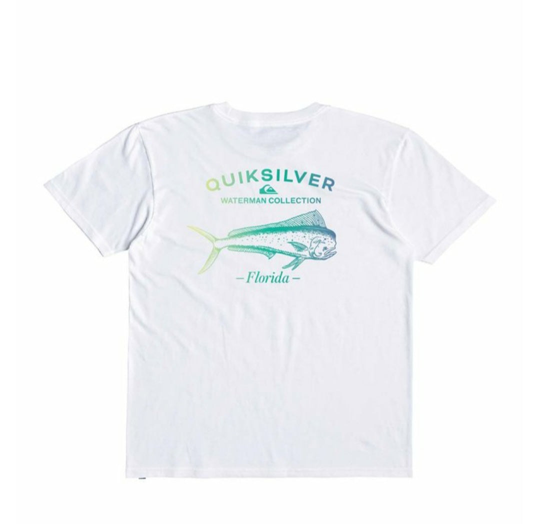 Camiseta Quiksilver  FL Forever Delayed QMTO