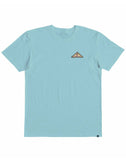 Camiseta Quiksilver Niño. Neon Logo