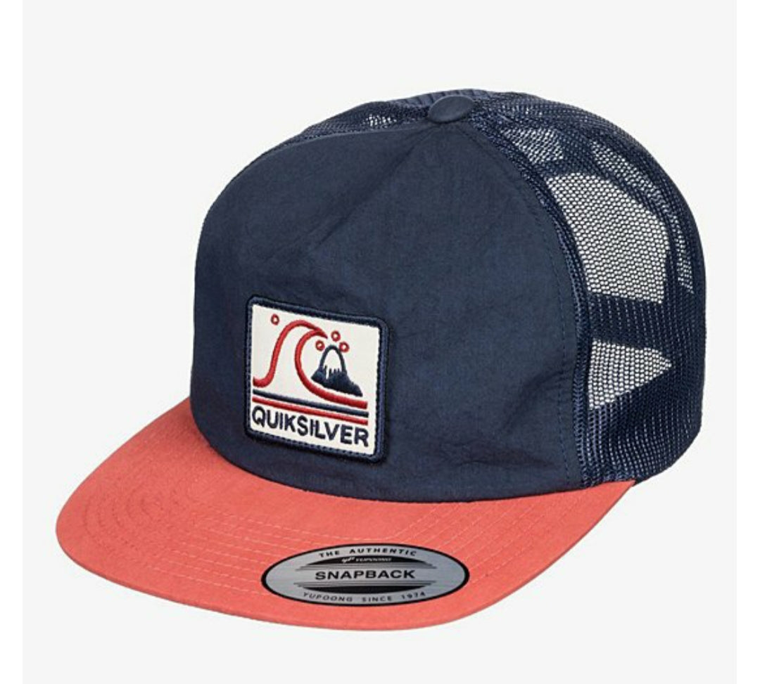 Gorra Quiksilver Brother Earth