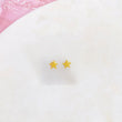 Pantallas estrella del mar