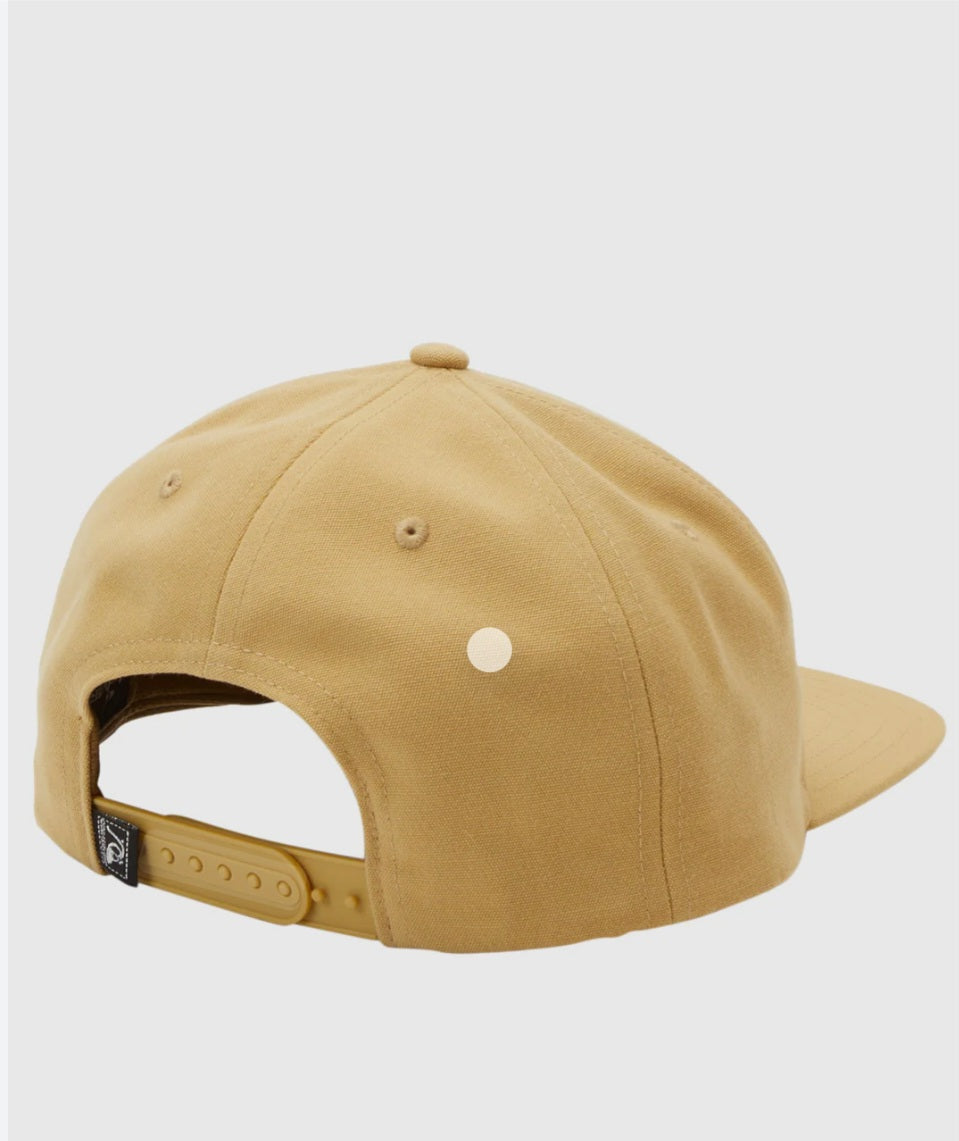 Gorra Quiksilver Earth Tripper