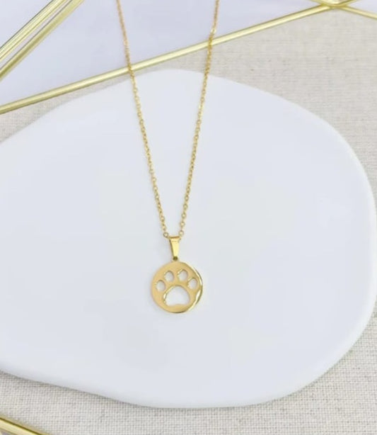 Cadena mascotas stainless Steel