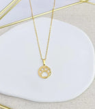 Cadena mascotas stainless Steel